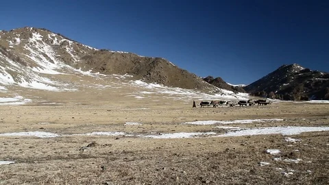 Nomads Mongolia Video stock 88396620