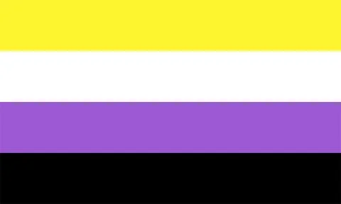Non binary flag pride vector illustration. Stock Illustration