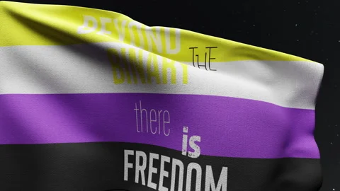Non binary Flag with Text Beyond the Binary There is Freedom Stock Footage 276653518
