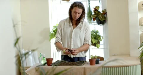 Non-binary person picking up black nursery pot and plant, loosening roots to Stock Footage 343367744
