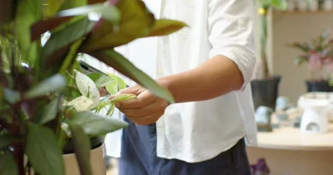Non-binary person in white top tending plants at nursery, noticing leaf, using Stock Footage 335575051
