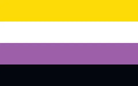 Non-binary pride flag Sexual identity pride flag Stock Illustration