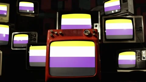 Non-binary Pride Flag on Vintage Televisions. Stock Footage 142913922