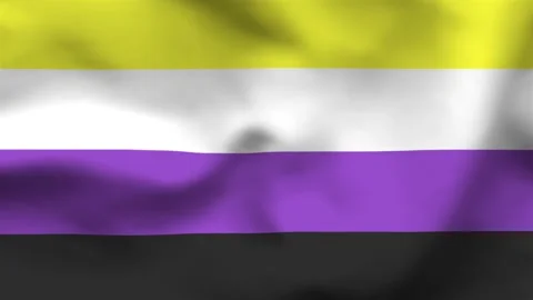 Non-Binary Pride Flag Wavy Fabric Texture Stock Footage 336182711
