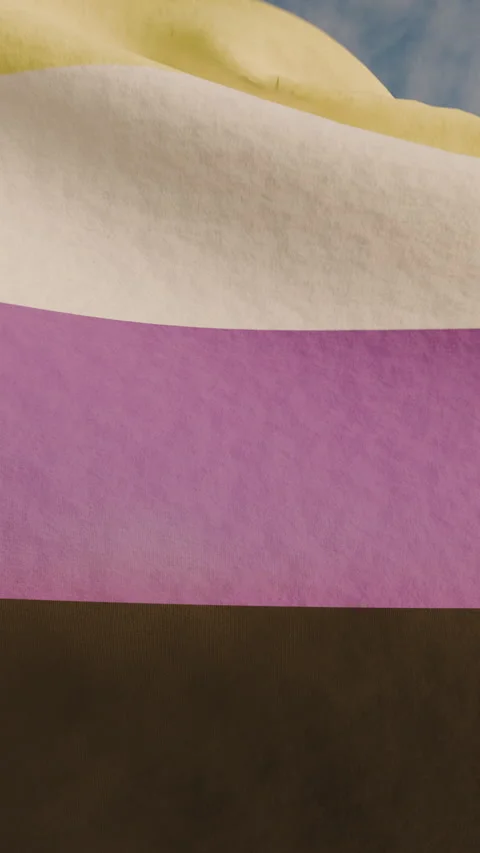 Non binary pride month flag waving in the full background Stock Footage 336199033