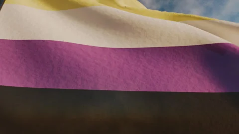 Non binary pride month waving flag full screen background Stock Footage 336199389