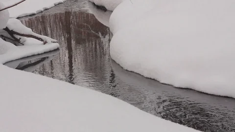 Non-freezing stream in the winter forest Stock Footage 102391025