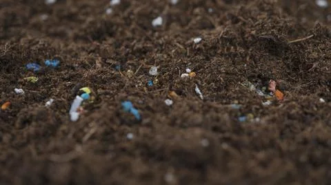 Non-recyclable plastic pollution in the soil. Stock Photos
