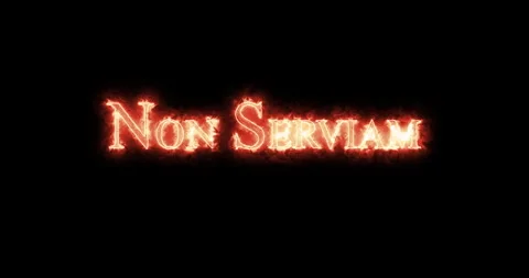 Non Serviam written with fire. Loop Stock Footage 284861463