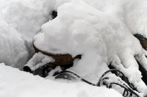 Non Starting Car Engine Photos