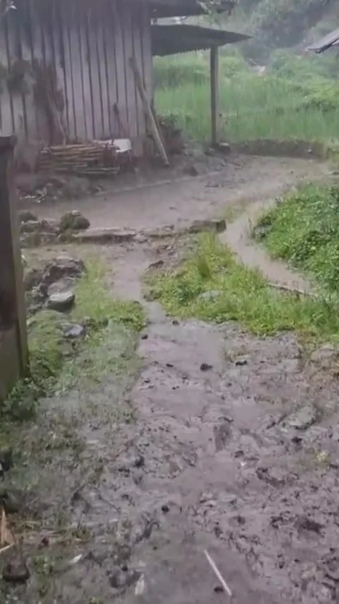 Non-stop rain Stock Footage 308213605