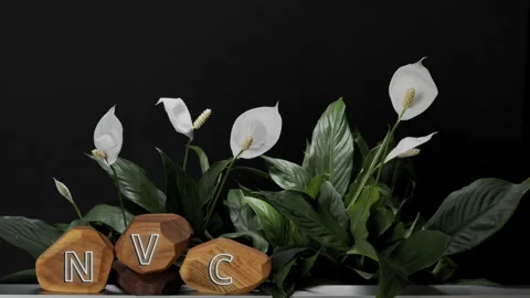 Non-violent communication (NVC)  concept. Stock Footage 278410214