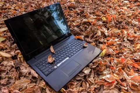 Non working laptop dumped in the fall foliage Stock Photos