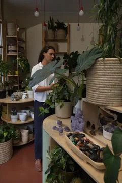 Nonbinary African American worker tending plants in plant shop wearing white top Stock-Fotos