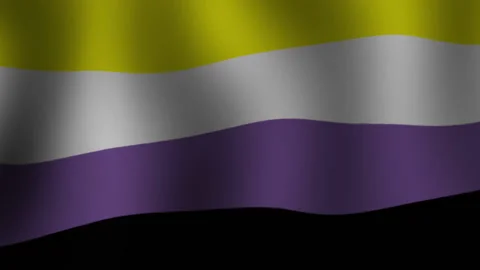 Nonbinary Pride Flag. LGBT flag. Stock Footage 207783319