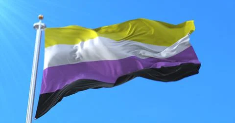 Nonbinary pride flag waving Illustrazione stock