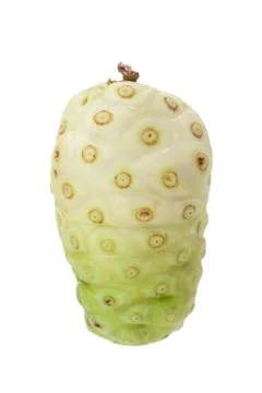 Noni fruit isolated Stock Photos