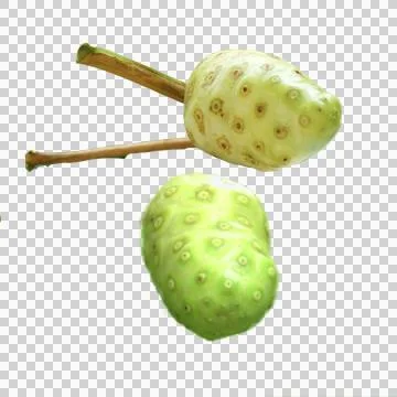 Noni fruit 스톡 사진