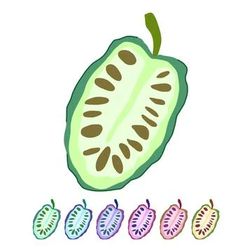 Noni fruit split in half showing seeds graphic Stock Illustration