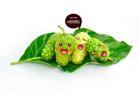 Noni herb in expression face Stock Photos