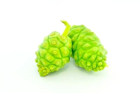 Noni herb Stock Photos