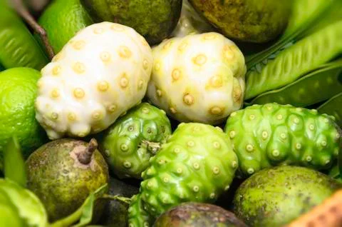 Noni Stock Photos