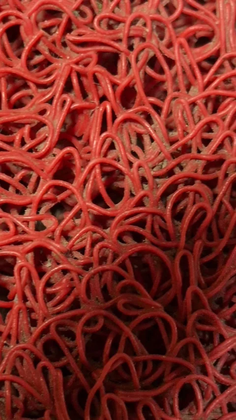 Noodle doormats Stock Footage 320097670