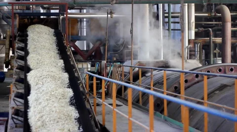 Noodles made from sugar beet Stock Footage 919919