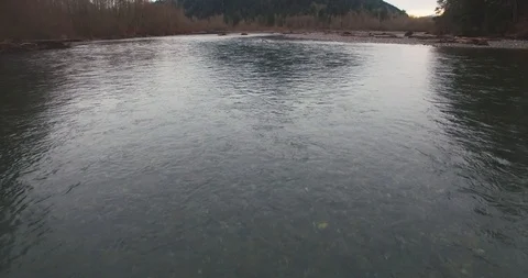 Nooksack River Flyover - Hovering about the water Stock Footage 86586982
