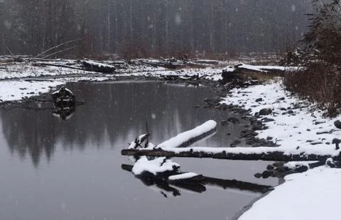 Nooksack River Winter 库存照片