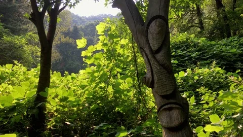 The noonday totem pole: Vidéo 80191430