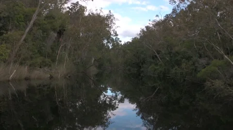 Noosa Everglades Stock Footage 3514330