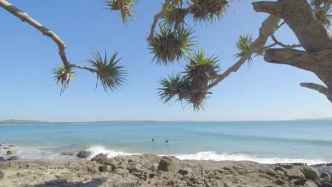 Noosa Heads Surf Stock Footage 313815939