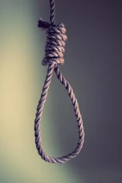 Noose Stock Photos