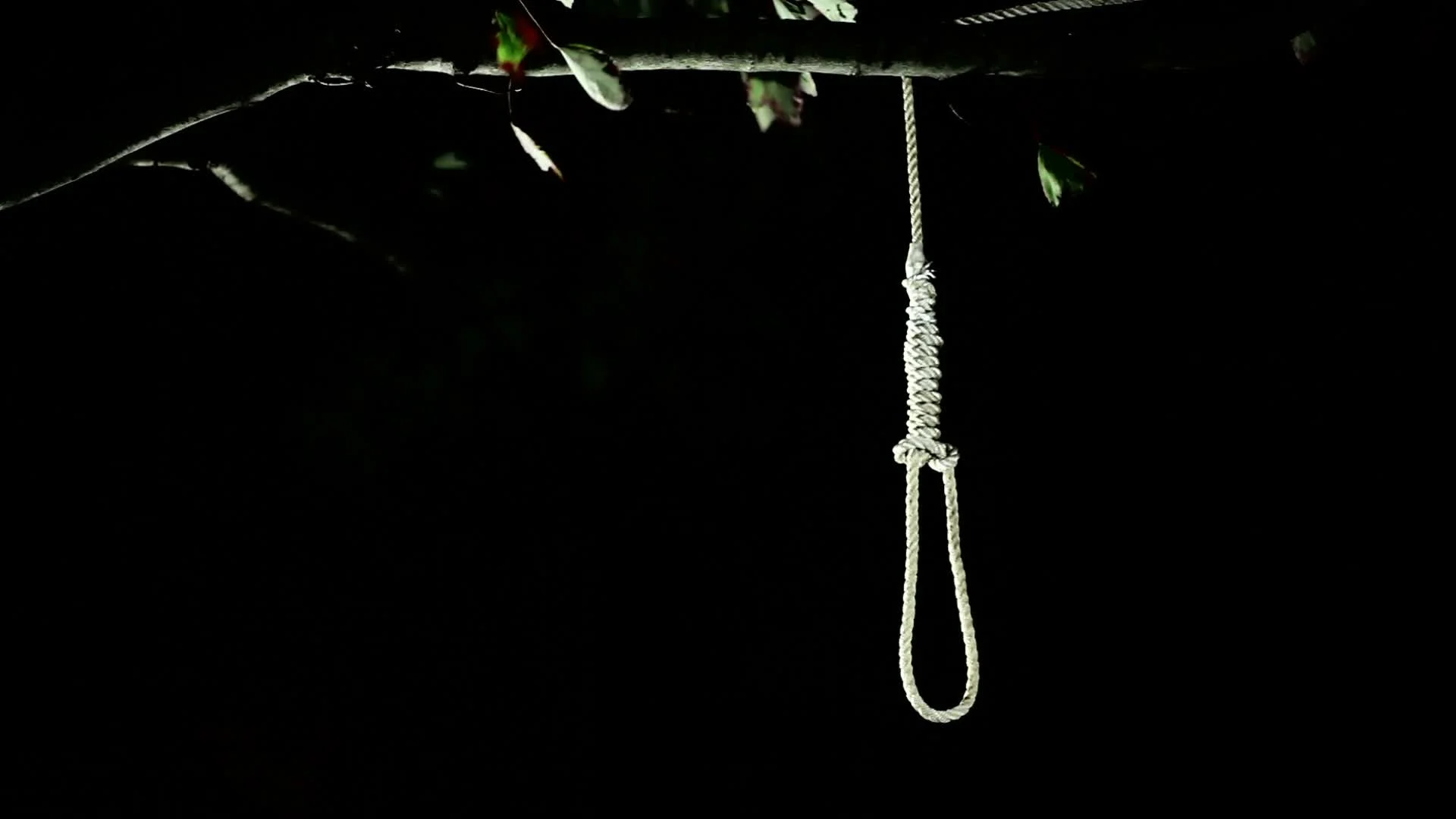 Noose Hang Hanging Stock Footage