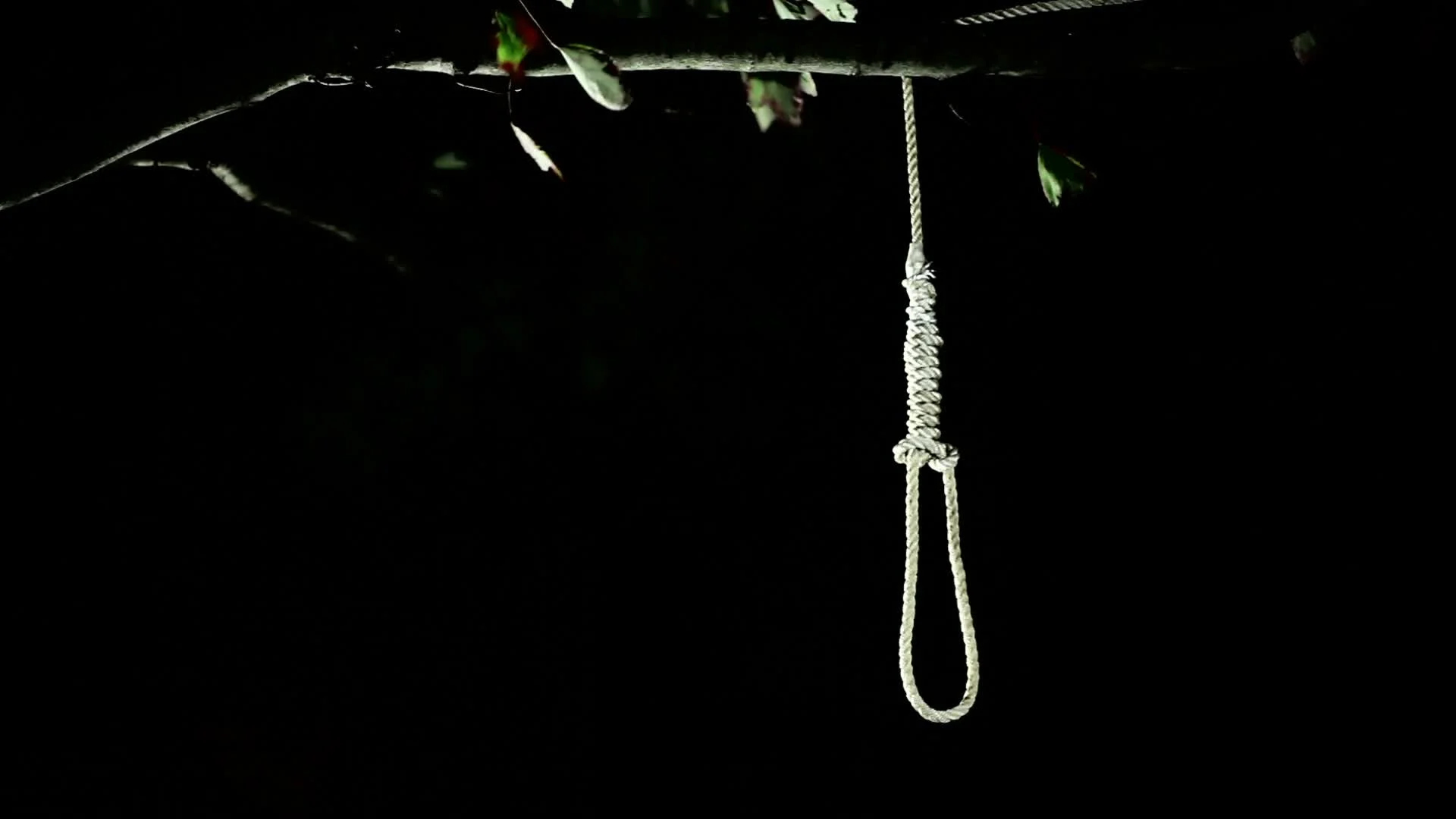 hangmans noose execution rope lynch, Stock Video