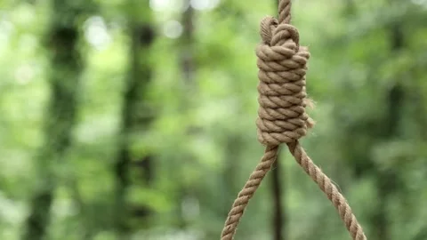 Noose Swaying in Blurred Forest Background Stock Footage 344913164