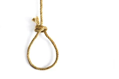 Noose on white background Fotos Stock