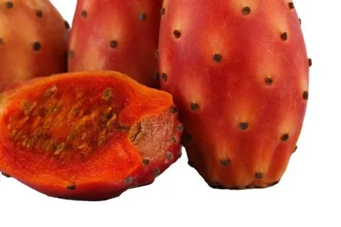Nopal cut cactus white background Stock Photos