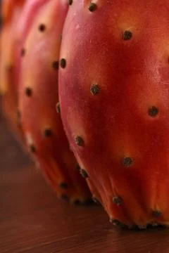 Nopal Macro on the wood Stock Photos