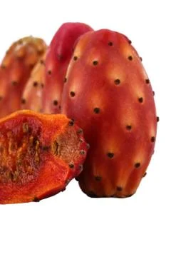 Nopal white backgraound cut Stock Photos