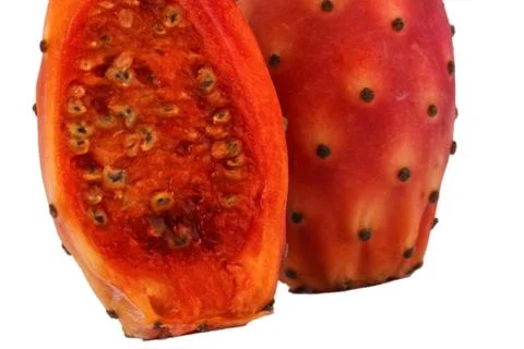 Nopal white background Stock Photos