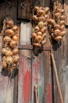  NOR3013 Stock Photos