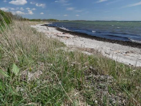 Nordic Forest Autumn Stock Photos