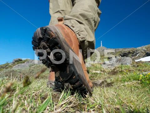 Nordic hiking Stock Photos