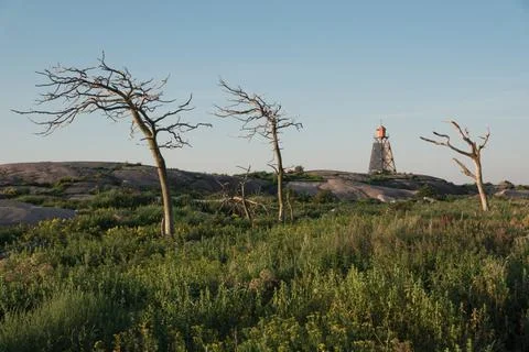 Nordic landscape. Dead tree trunks and an old abandoned lighthouse Stock Photos