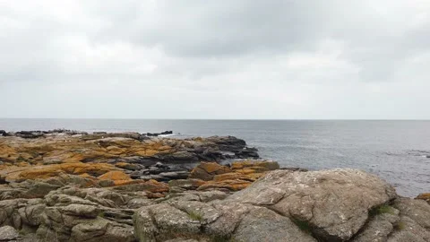 Nordic Rocks and Cliffs near the Sea Shore Stock Footage 153467580