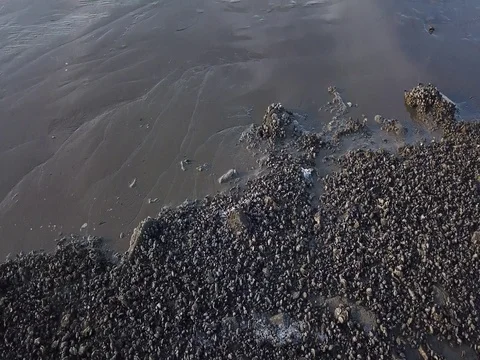 Nordic Sea Beach side, 4k footage, Netherlands Stock Footage
