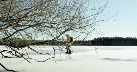 Nordic skater passing behind tree. Stock Footage 60125260