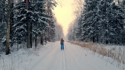 Nordic skiing Stock Footage 148209235